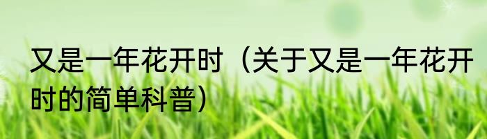 又是一年花开时（关于又是一年花开时的简单科普）