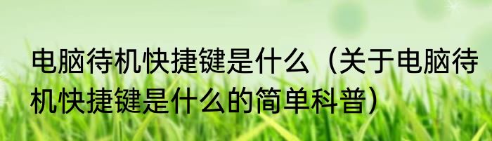电脑待机快捷键是什么（关于电脑待机快捷键是什么的简单科普）
