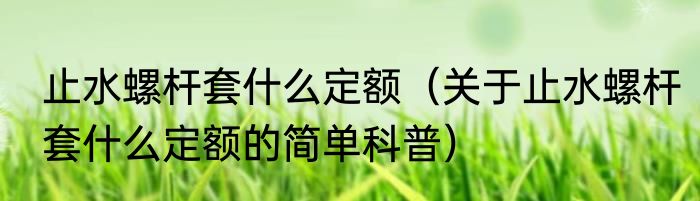 止水螺杆套什么定额（关于止水螺杆套什么定额的简单科普）