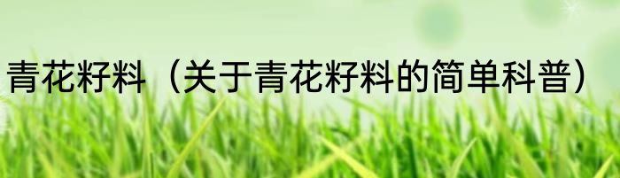 青花籽料（关于青花籽料的简单科普）