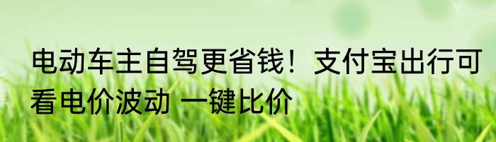 电动车主自驾更省钱！支付宝出行可看电价波动 一键比价