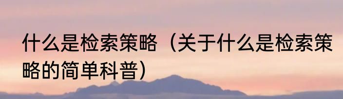 什么是检索策略（关于什么是检索策略的简单科普）