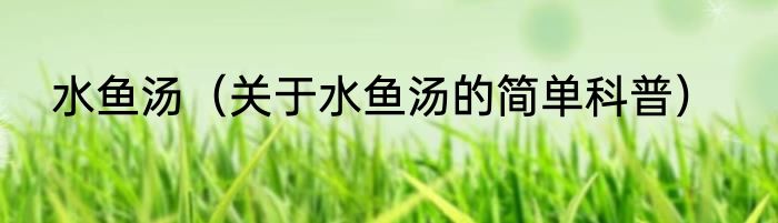 水鱼汤（关于水鱼汤的简单科普）