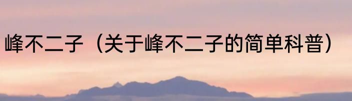 峰不二子（关于峰不二子的简单科普）