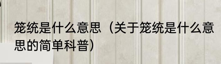 笼统是什么意思（关于笼统是什么意思的简单科普）