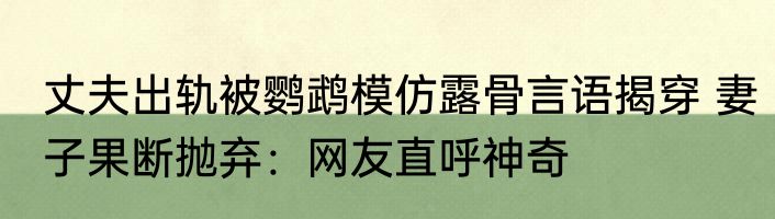 丈夫出轨被鹦鹉模仿露骨言语揭穿 妻子果断抛弃：网友直呼神奇