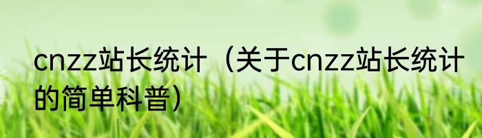 cnzz站长统计（关于cnzz站长统计的简单科普）