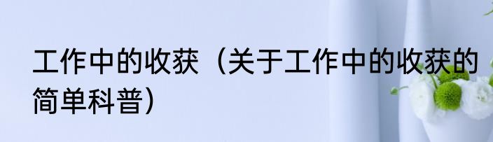 工作中的收获（关于工作中的收获的简单科普）
