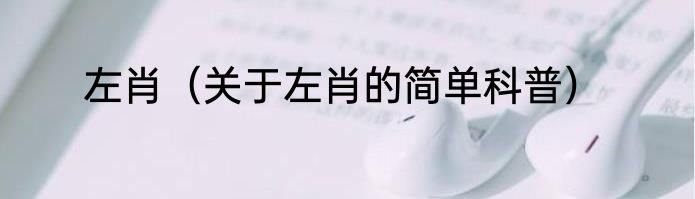 左肖（关于左肖的简单科普）