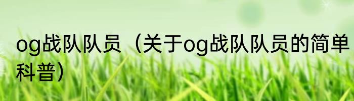 og战队队员（关于og战队队员的简单科普）