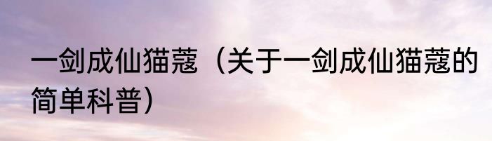 一剑成仙猫蔻（关于一剑成仙猫蔻的简单科普）
