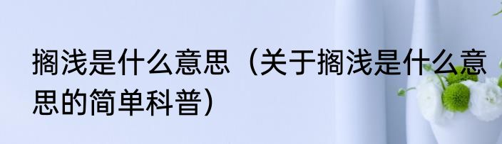 搁浅是什么意思（关于搁浅是什么意思的简单科普）