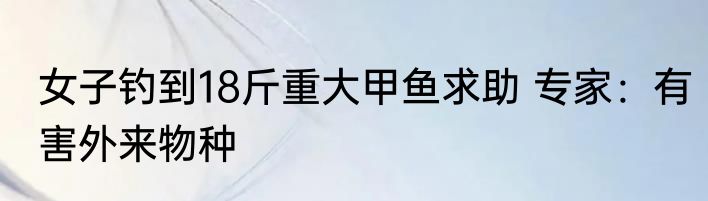 女子钓到18斤重大甲鱼求助 专家：有害外来物种