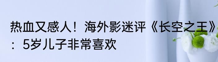 热血又感人！海外影迷评《长空之王》：5岁儿子非常喜欢