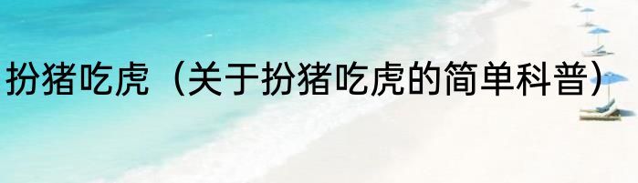 扮猪吃虎（关于扮猪吃虎的简单科普）