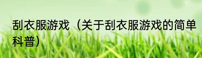 刮衣服游戏（关于刮衣服游戏的简单科普）
