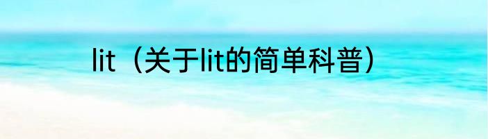lit（关于lit的简单科普）