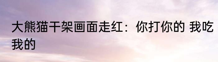 大熊猫干架画面走红：你打你的 我吃我的