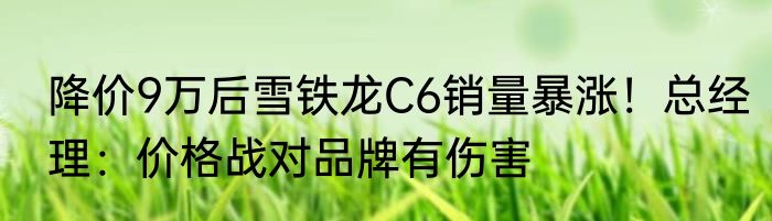 降价9万后雪铁龙C6销量暴涨！总经理：价格战对品牌有伤害