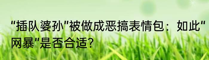 “插队婆孙”被做成恶搞表情包：如此“网暴”是否合适？