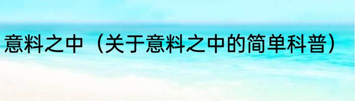 意料之中（关于意料之中的简单科普）