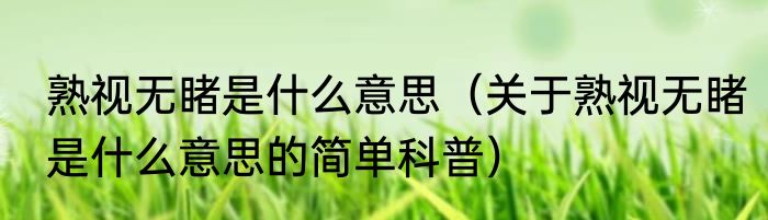 熟视无睹是什么意思（关于熟视无睹是什么意思的简单科普）