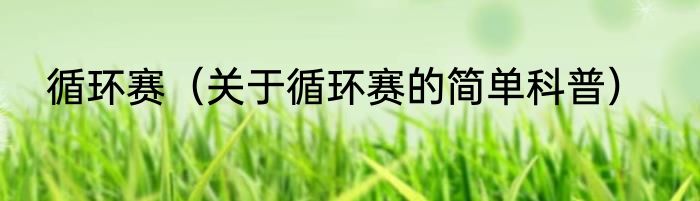 循环赛（关于循环赛的简单科普）