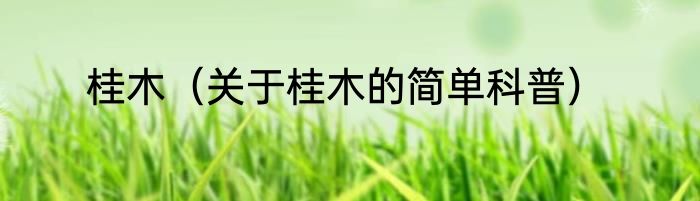 桂木（关于桂木的简单科普）