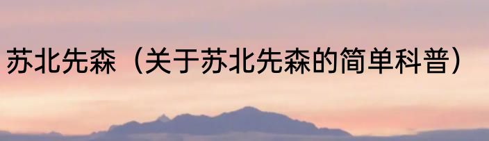 苏北先森（关于苏北先森的简单科普）