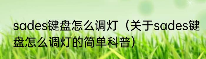 sades键盘怎么调灯（关于sades键盘怎么调灯的简单科普）