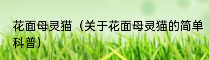 花面母灵猫（关于花面母灵猫的简单科普）