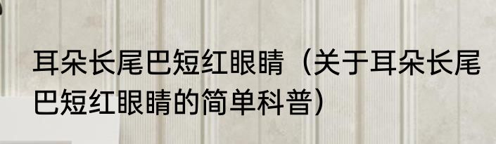 耳朵长尾巴短红眼睛（关于耳朵长尾巴短红眼睛的简单科普）