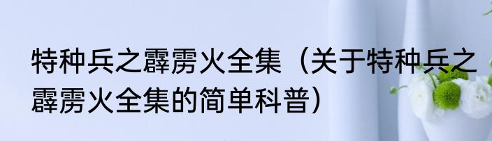 特种兵之霹雳火全集（关于特种兵之霹雳火全集的简单科普）