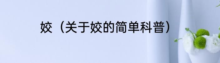 姣（关于姣的简单科普）