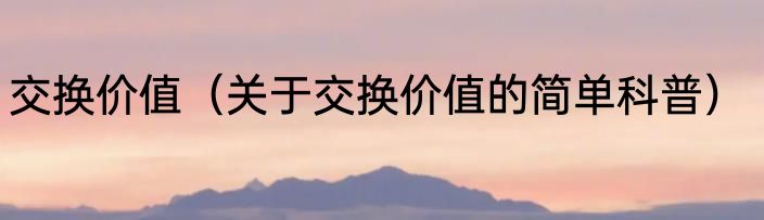 交换价值（关于交换价值的简单科普）