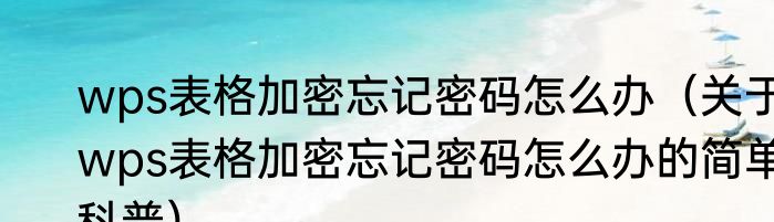 wps表格加密忘记密码怎么办（关于wps表格加密忘记密码怎么办的简单科普）