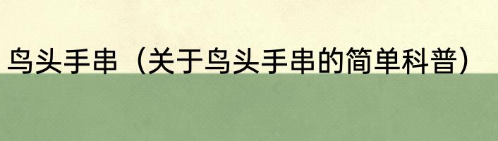鸟头手串（关于鸟头手串的简单科普）