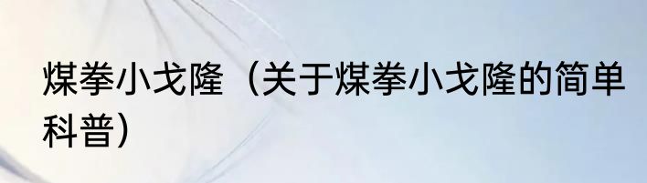 煤拳小戈隆（关于煤拳小戈隆的简单科普）
