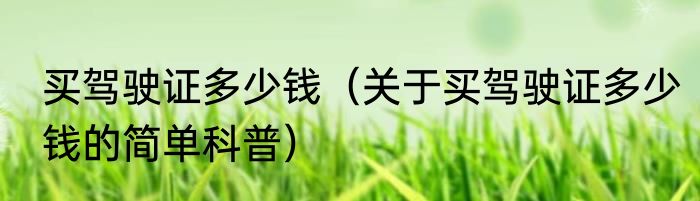 买驾驶证多少钱（关于买驾驶证多少钱的简单科普）