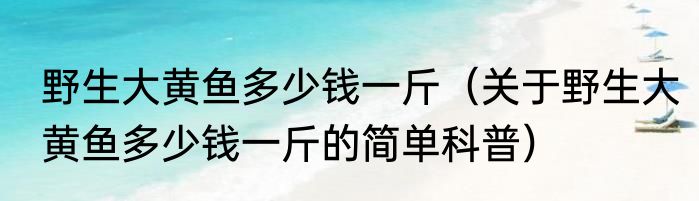 野生大黄鱼多少钱一斤（关于野生大黄鱼多少钱一斤的简单科普）