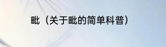 毗（关于毗的简单科普）