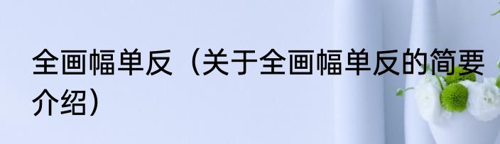 全画幅单反（关于全画幅单反的简要介绍）