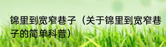 锦里到宽窄巷子（关于锦里到宽窄巷子的简单科普）