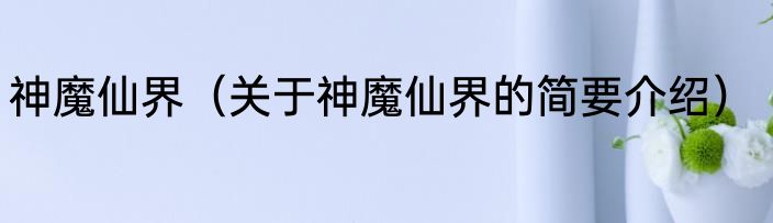 神魔仙界（关于神魔仙界的简要介绍）