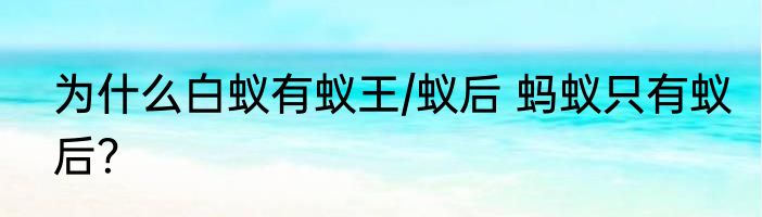 为什么白蚁有蚁王/蚁后 蚂蚁只有蚁后？