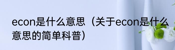 econ是什么意思（关于econ是什么意思的简单科普）