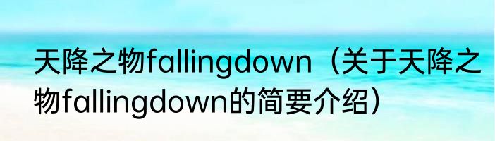 天降之物fallingdown（关于天降之物fallingdown的简要介绍）