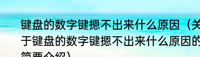 键盘的数字键摁不出来什么原因（关于键盘的数字键摁不出来什么原因的简要介绍）