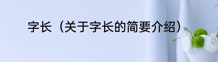 字长（关于字长的简要介绍）