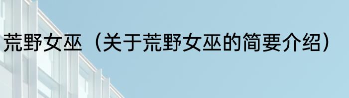 荒野女巫（关于荒野女巫的简要介绍）